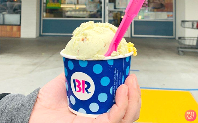 Hand Holding a Cup of Baskin Robbins Ice Cream