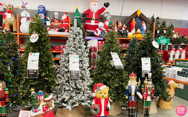 An Overview Photo of Christmas Trees at a Home Depot Store