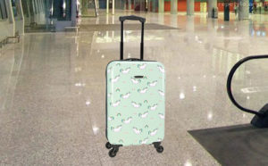 Prodigy Resort Luggage $40 (Reg $120)