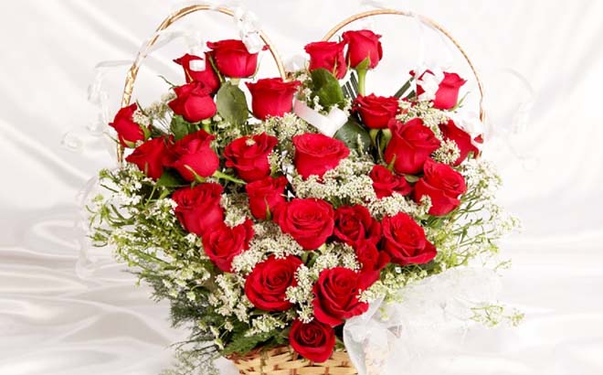 50 Roses for $49 Shipped (Pre-Order)