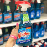 Windex-Glass-Cleaner-and-Spray-Bottle-3