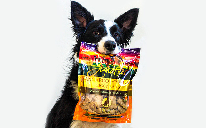 FREE Zignature Dog Food Sample