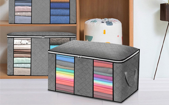 Foldable Storage Bags 4-Pack for $14.99