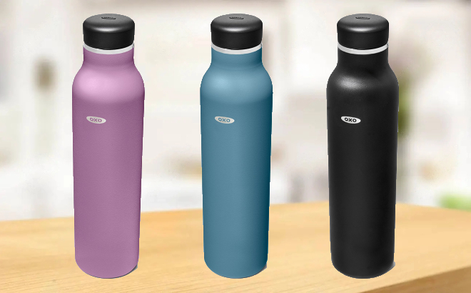 OXO Insulated Water Bottle $16.99