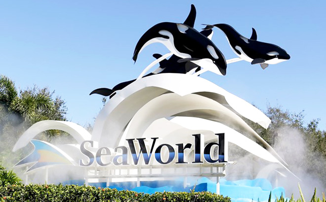 FREE Preschool Pass to SeaWorld (Florida Residents Only)!
