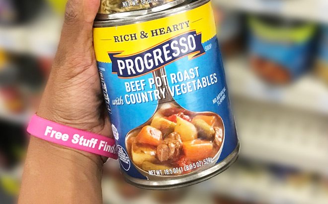 A Person Holding Progresso Soup
