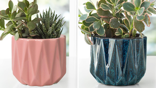 Better Homes and Gardens Round Ceramic Planters in Pink Color on the Left and Blue on the Right