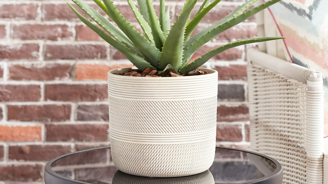 Better Homes and Gardens Tye Planter with Aloe Vera Plant