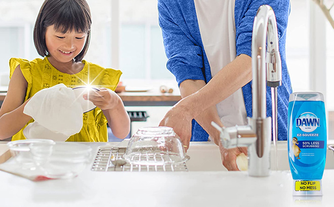 Dad and Daughter wash dishes with Dawn