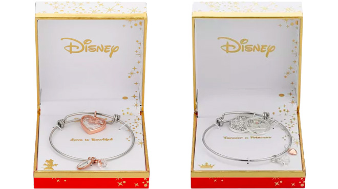 Disney Charm Bracelets