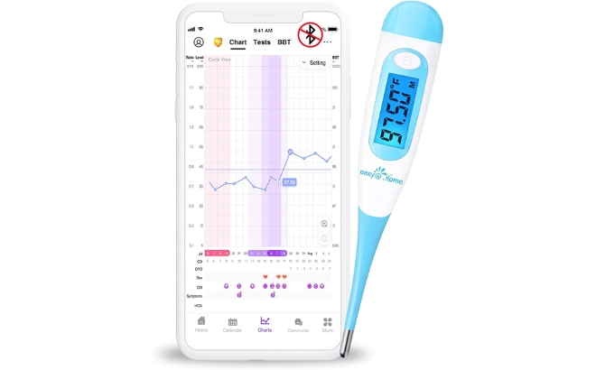 Easy Home Digital Basal Thermometer