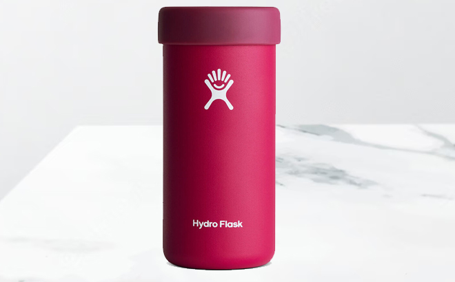Hydro Flask Snapper 12 Oz Slim Cooler Cup