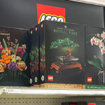 LEGO Botanical Collection Set