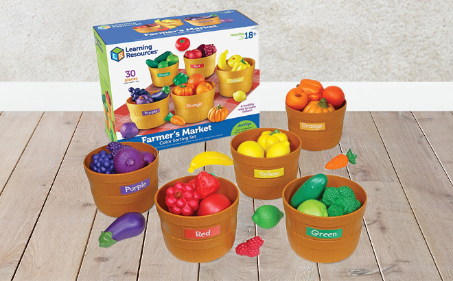 Learning Resources Farmer's Market Color Sorting Set