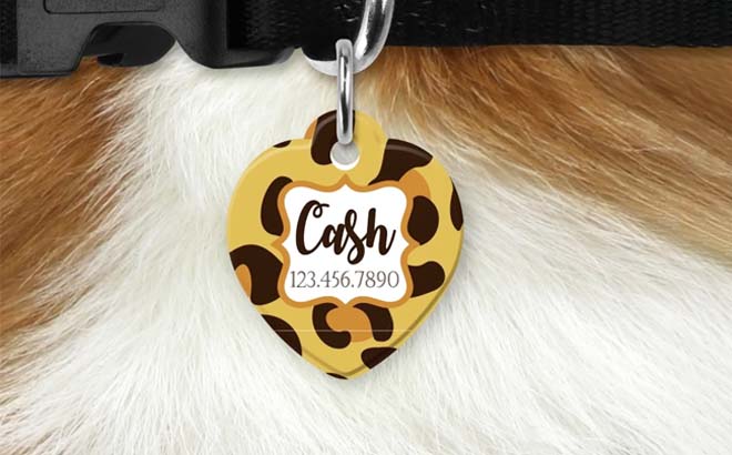 Personalized Pet Tags $8.99 Shipped