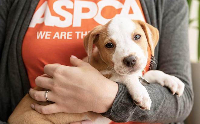 FREE ASPCA Pet Safety Pack!