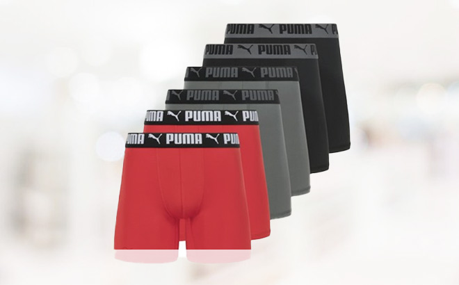 Puma Men’s Briefs 6-Pack for $22