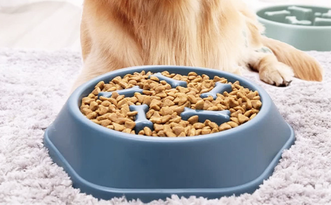 Slow Feeder Dog Bowls
