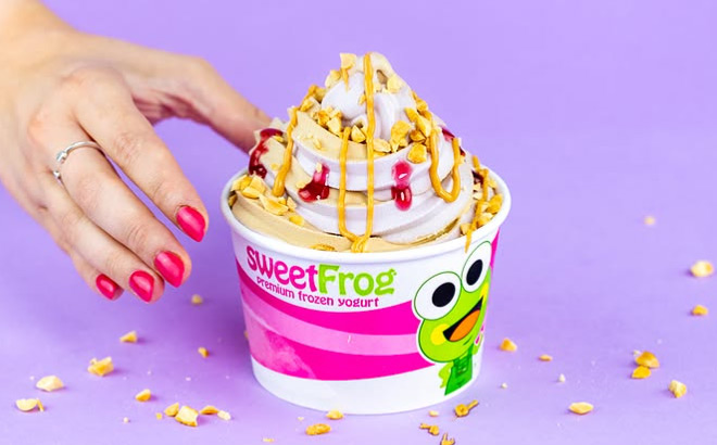 SweetFrog Froyo