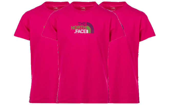 The North Face Girls Tee 1