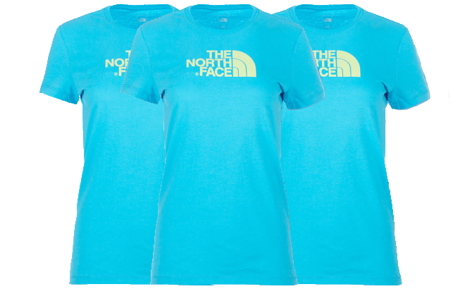 The North Face Womens Tee