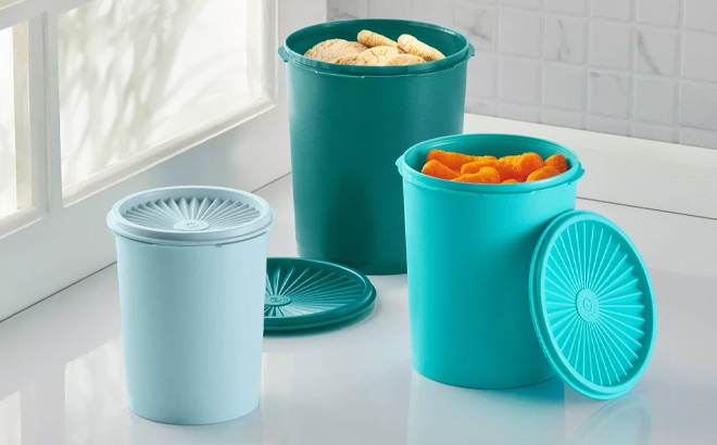 Target Is Selling the Cutest Vintage-Inspired Tupperware Collection That  Comes in 3 Gorgeous Colors – SheKnows