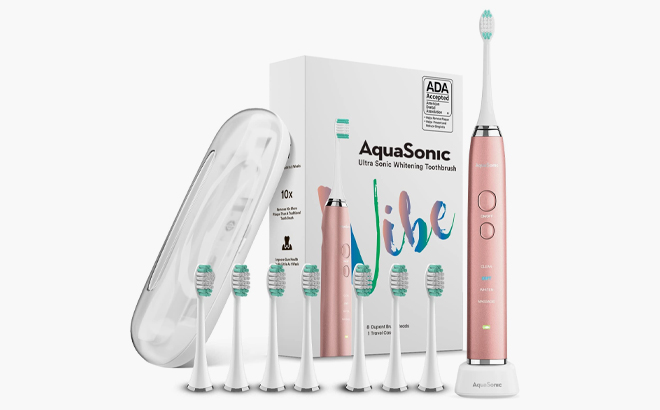 AquaSonic Toothbrush Set $32