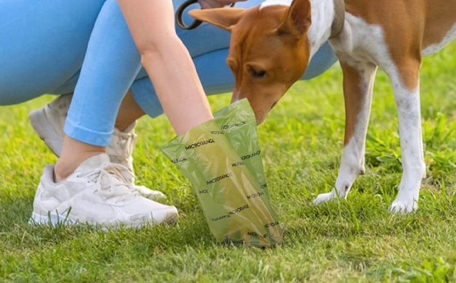 Dog Poop Bags 420-Count for $6.79