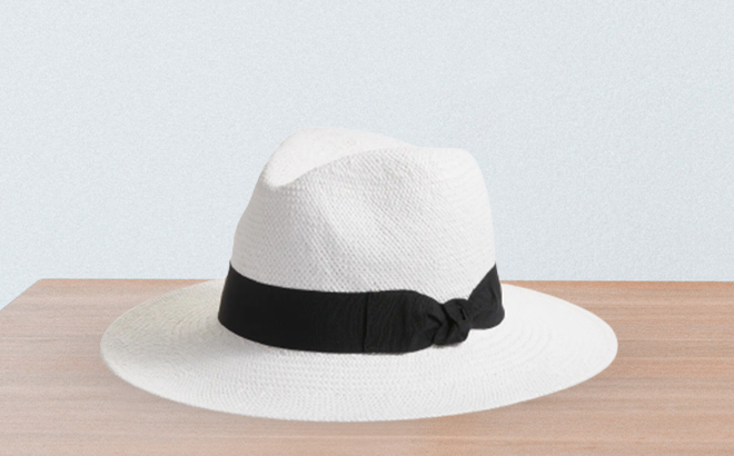 Paper Straw Panama Hat $15 Shipped