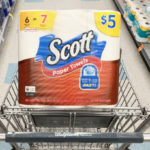 scott paper towel