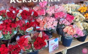 TWO Dozen Roses $29.99 at Whole Foods with Amazon Prime!