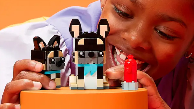 A Child playing with Lego Pets French Bulldogs