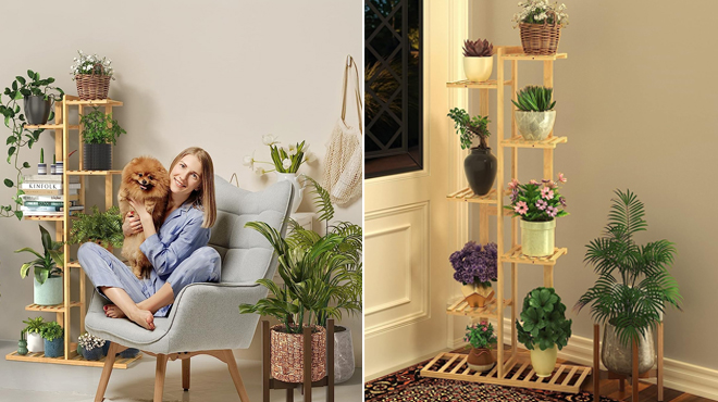 A Lady with a Dog beside an Easoger 7 Tier Bamboo Plant Stand on the left and Easoger 7 Tier Bamboo Plant Stand in the living room on the right