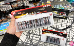 Alkaline Batteries 16 Count