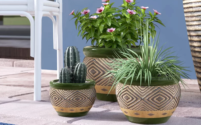 Amarelys 3 Piece Ceramic Pot Planter Set
