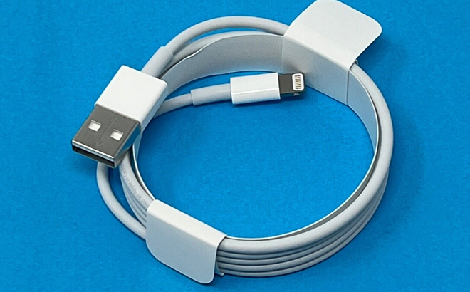 Apple Lightning to USB Cable 1