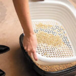 Arm Hammer Large Sifting Litter Box