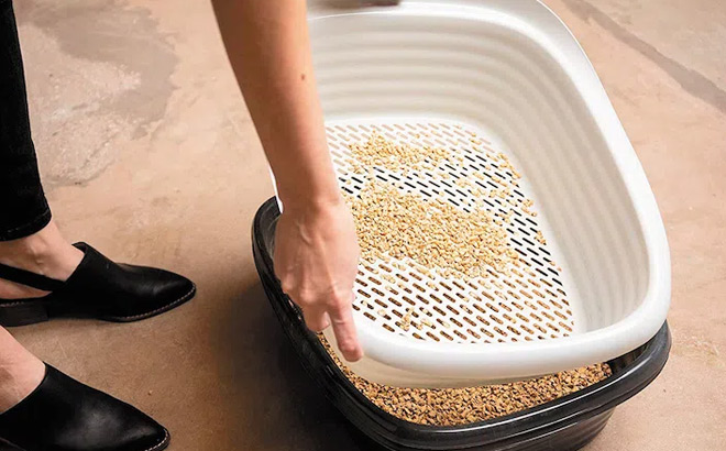 Arm Hammer Large Sifting Litter Box