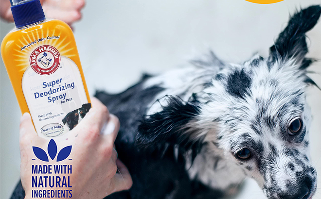 Arm Hammer Super Deodorizing Spray for Dogs 8 oz