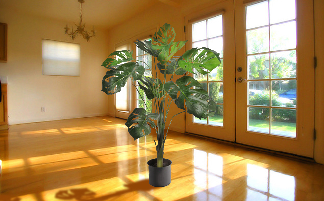 Artificial Monstera Plant in the Middle of a Sunlit Room