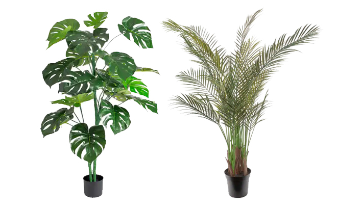 Artificial Monstera and Areca Plants