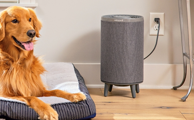 BISSELL MYair Air Purifier with HEPA Filter BISSELL MYair Air Purifier with HEPA Filter