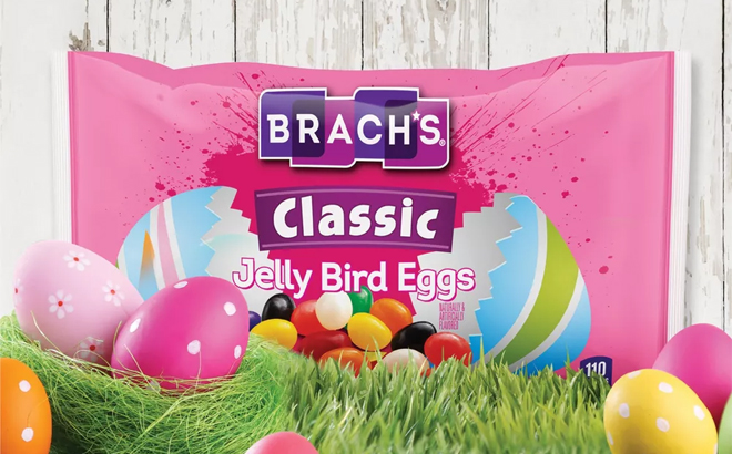Brachs Easter Classic Jelly Bird Eggs 14 5oz