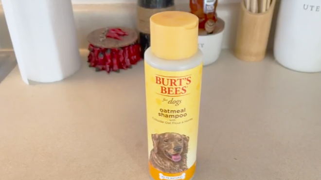 Burts Bees Dog Shampoo On the Counter