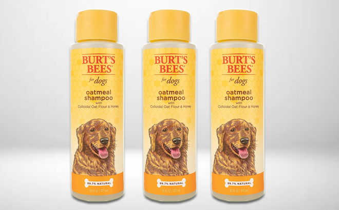 Burts Bees Dog Shampoo