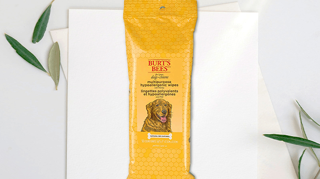 Burts Bees Dog Wipes