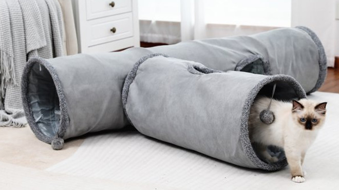 Cat Tunnel Cat Tunnel