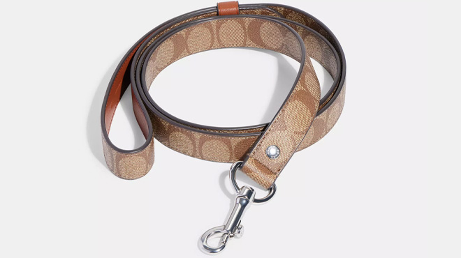 Coach Outlet Boxed Large Pet Leash In Signature Canvas