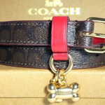 Coach Outlet Boxed Small Pet Collar