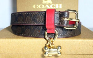 Coach Outlet Boxed Small Pet Collar